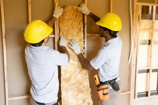 Best Insulation Repair Services  in Lowell, AR