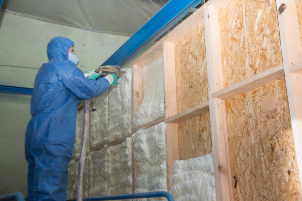 Best Wall Insulation Contractor  in Lowell, AR