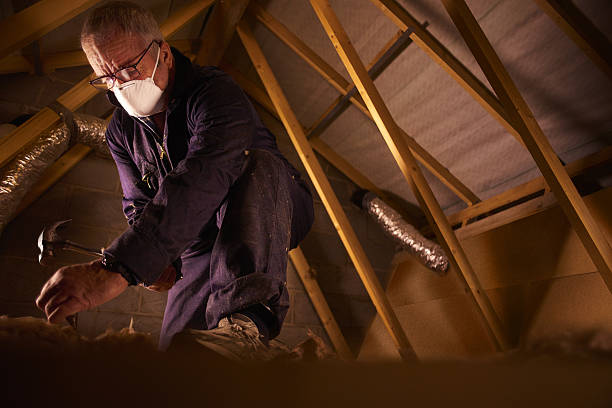 Best Crawl Space Insulation  in Lowell, AR