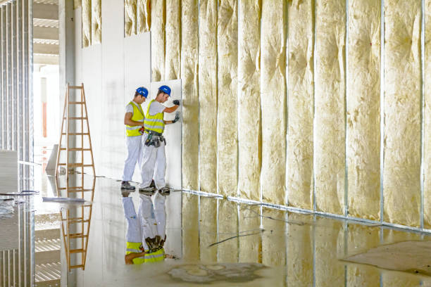 Best Professional Insulation Contractor  in Lowell, AR